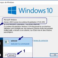 winver-verifier-version-windows