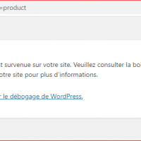 WordPress-–-Une-erreur-critique-est-survenue-sur-ce-site.-Veuillez-consulter-la-boite-de-reception-de-le-mail-dadministration-de-votre-site-pour-plus-dinformations
